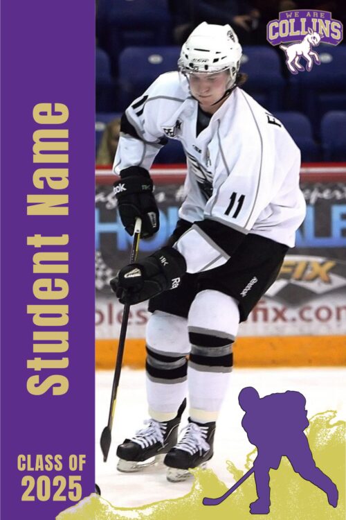 Fort Collins High School Hockey banner