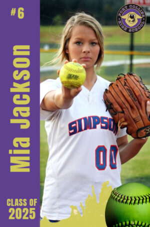 Fort Collins High School Softball Banner