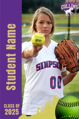 Fort Collins High School Softball banner