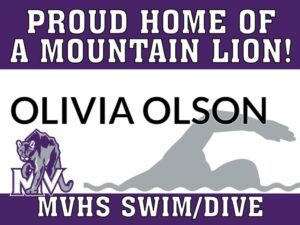 Mountain View High School swim and dive yard signs