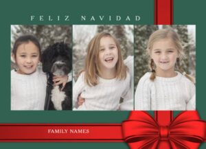 feliz navidad photo card