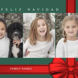 feliz navidad photo card