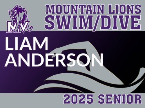 Mountain View High School Swimming yard sign