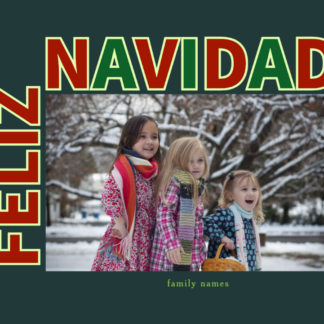 feliz navidad photo card