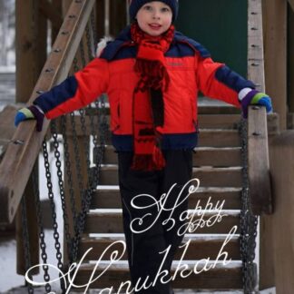 happy hanukkah photo card