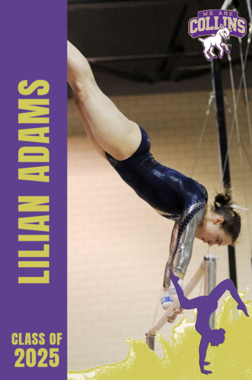 Fort Collins High School gymnastics banner