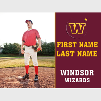 Windsor High School baseball yard sign