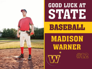 Windsor High School baseball yard sign