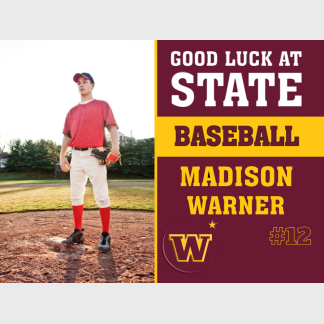 Windsor High School baseball yard sign