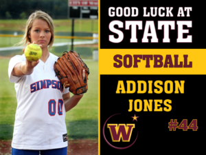 Windsor High School Softball photo yard sign