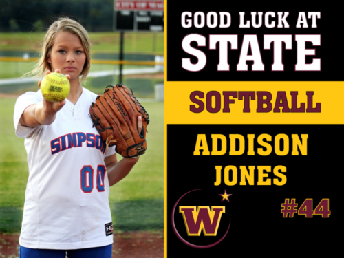 Windsor High School Softball photo yard sign
