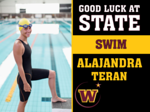 Windsor High School Swim photo yard sign