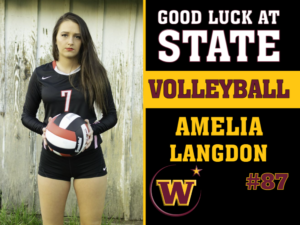 Windsor High School Volleyball photo yard sign