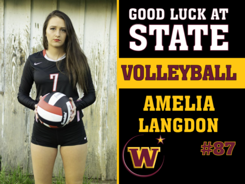 Windsor High School Volleyball photo yard sign