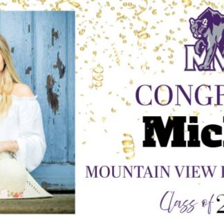Mountain View High School Graduation Banners