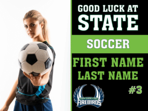 Windsor Charter Academy Soccer yard sign