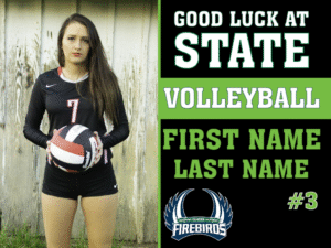 Windsor Charter Academy Volleyball yard sign