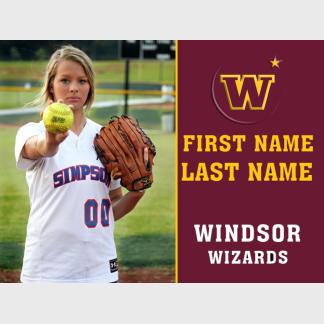 Windsor High School softball yard sign