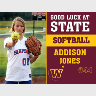 Windsor High School softball yard sign