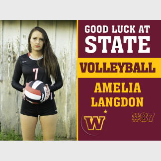 Windsor High School volleyball yard sign