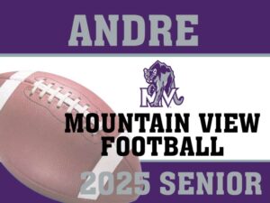 MOUNTAIN VIEW HIGH SCHOOL FOOTBALL YARD SIGN