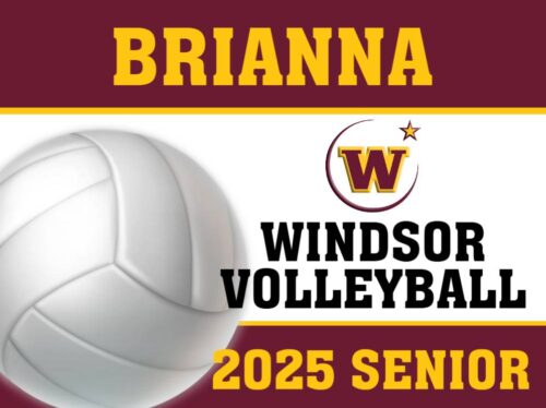 WINDSOR HIGH SCHOOL Volleyball YARD SIGN