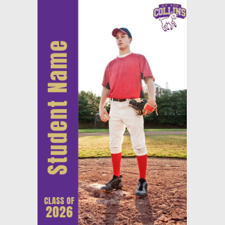 Fort Collins High School baseball banner