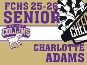 FCHS Cheer Senior Yard Sign