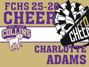 Fort Collins High School cheer yard sign