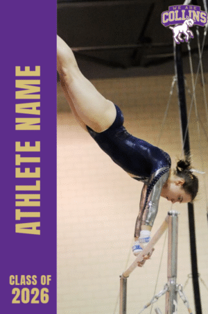 Fort Collins High School gymnastics banner