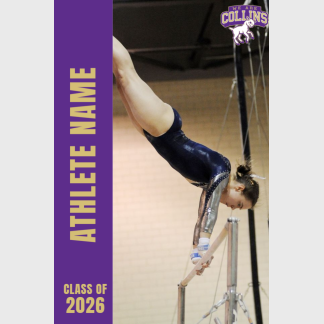 Fort Collins High School gymnastics banner
