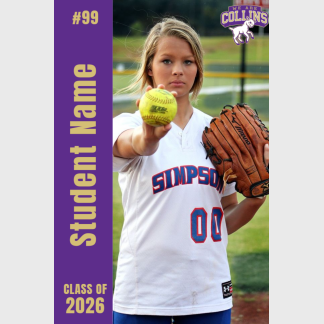 Fort Collins High School softball banner