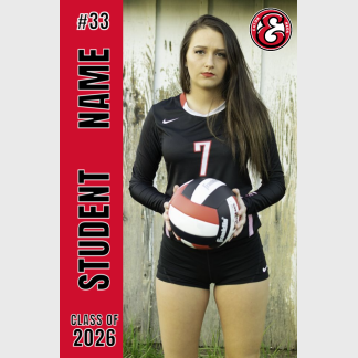 Eaton High School Volleyball banner