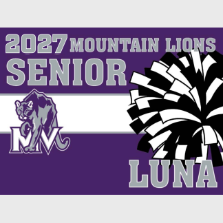 Mountain View High School Poms/Dance yard sign