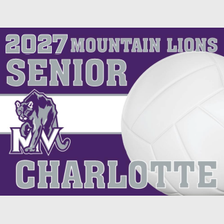 Mountain View High School Volleyball yard sign