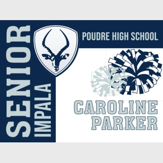 Poudre High School dance yard sign