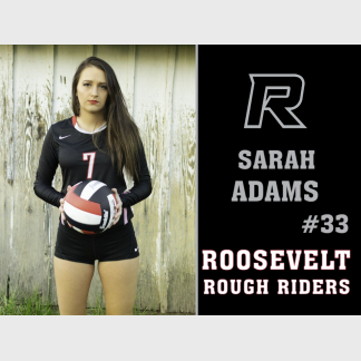 Roosevelt High School Volleyball yard sign