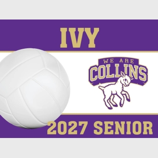 Fort Collins High School volleyball yard signs