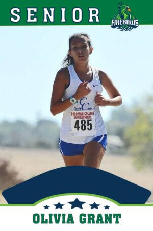 windsor charter academy cross country banners