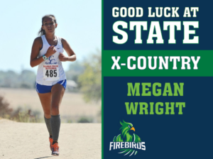 windsor charter academy cross country yard signs