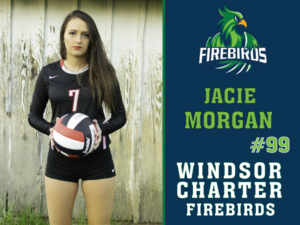 windsor charter academy volleyball yard sign