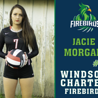 windsor charter academy volleyball yard sign