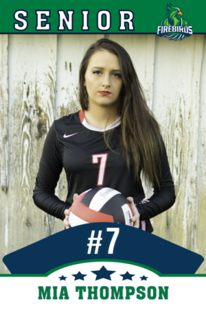 windsor charter academy volleyball banner