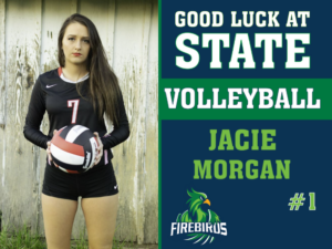 windsor charter academy volleyball yard sign