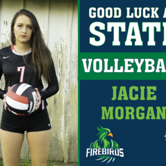 windsor charter academy volleyball yard sign