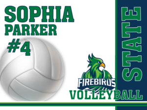 windsor charter academy volleyball yard sign