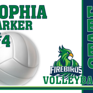 windsor charter academy volleyball yard sign