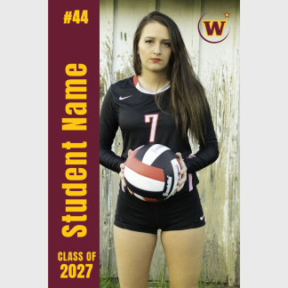 Windsor High School volleyball posters