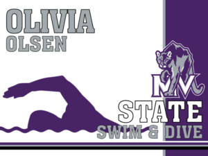 Mountain View High School swim and dive yard signs