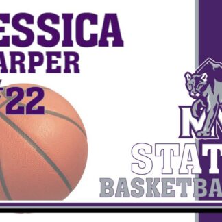 mountain view high school basketball